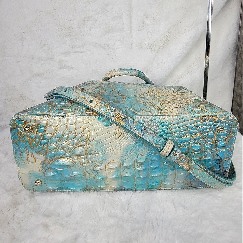 Brahmin - Picture 8 of 12